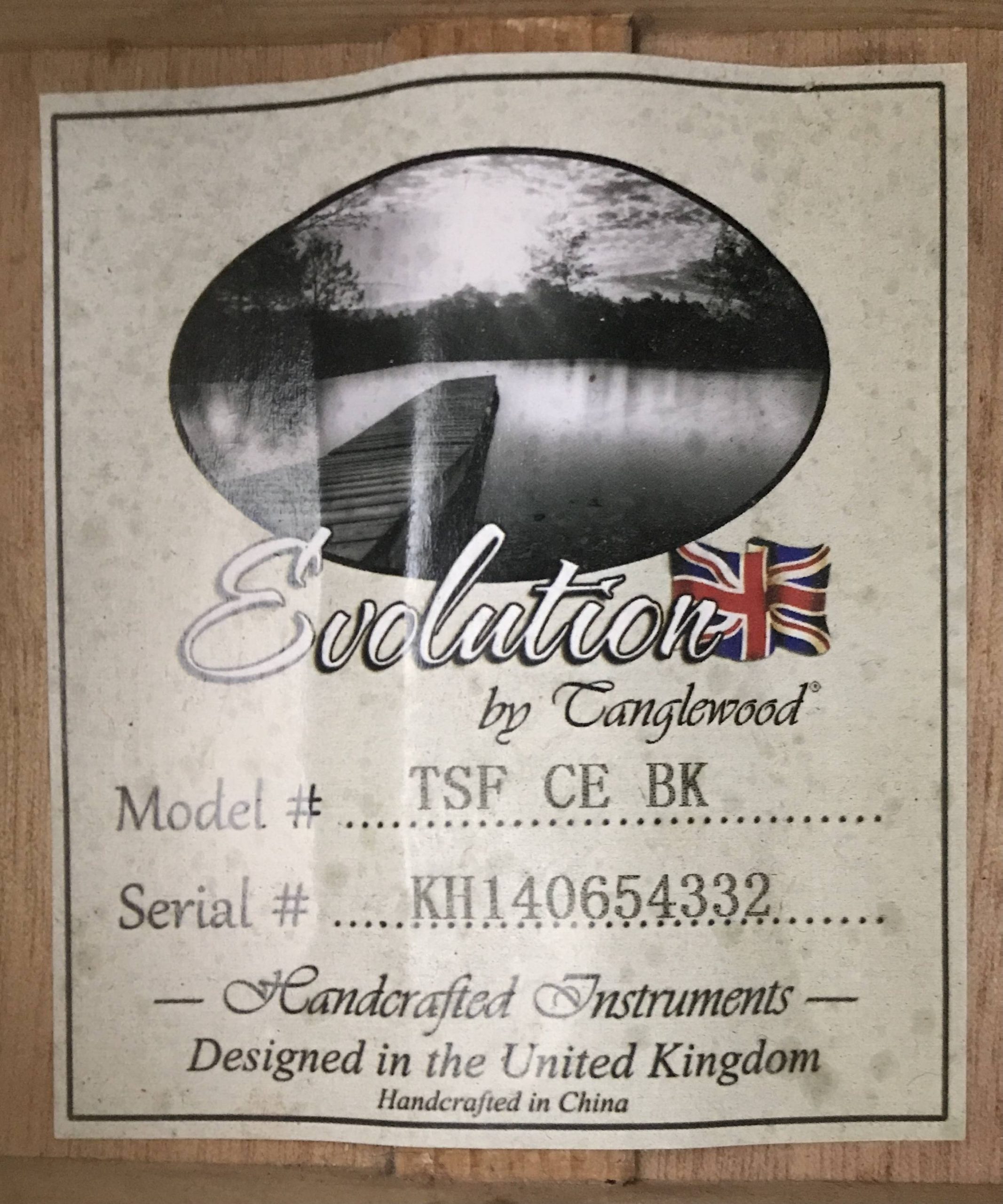 Tanglewood TSF CE BK - immagine 13