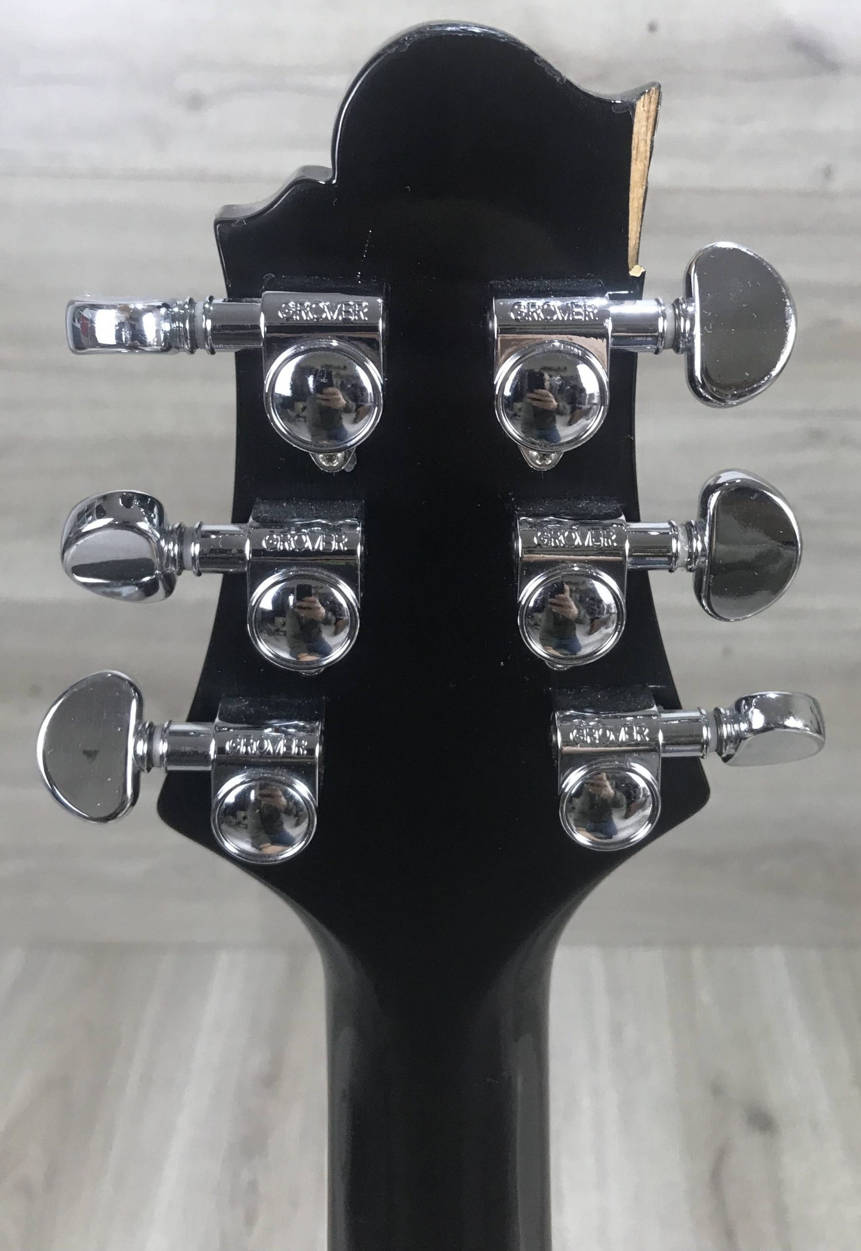 Greg Bennett Avion pickup epiphone - immagine 7