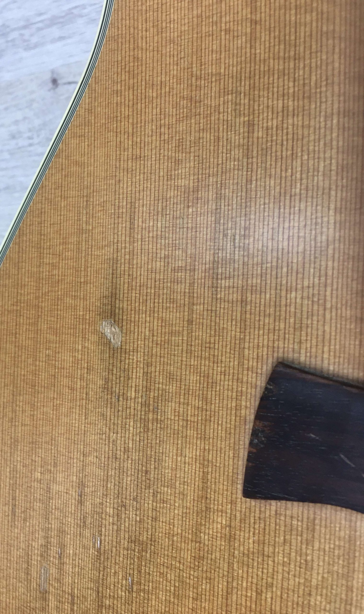 Crafter GAE15L/N Mancina - immagine 6