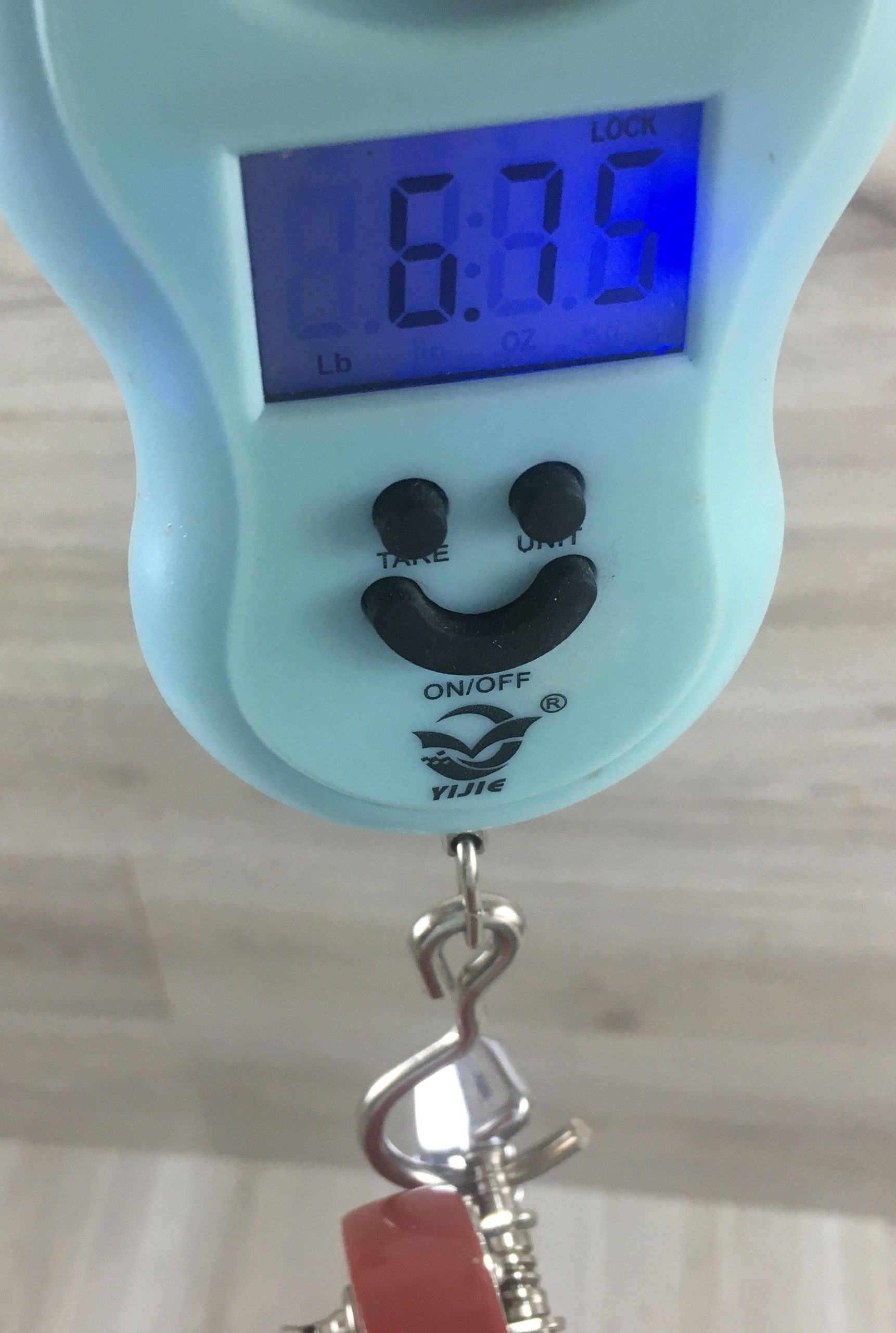 Roytek chitarra elettrica - immagine 12