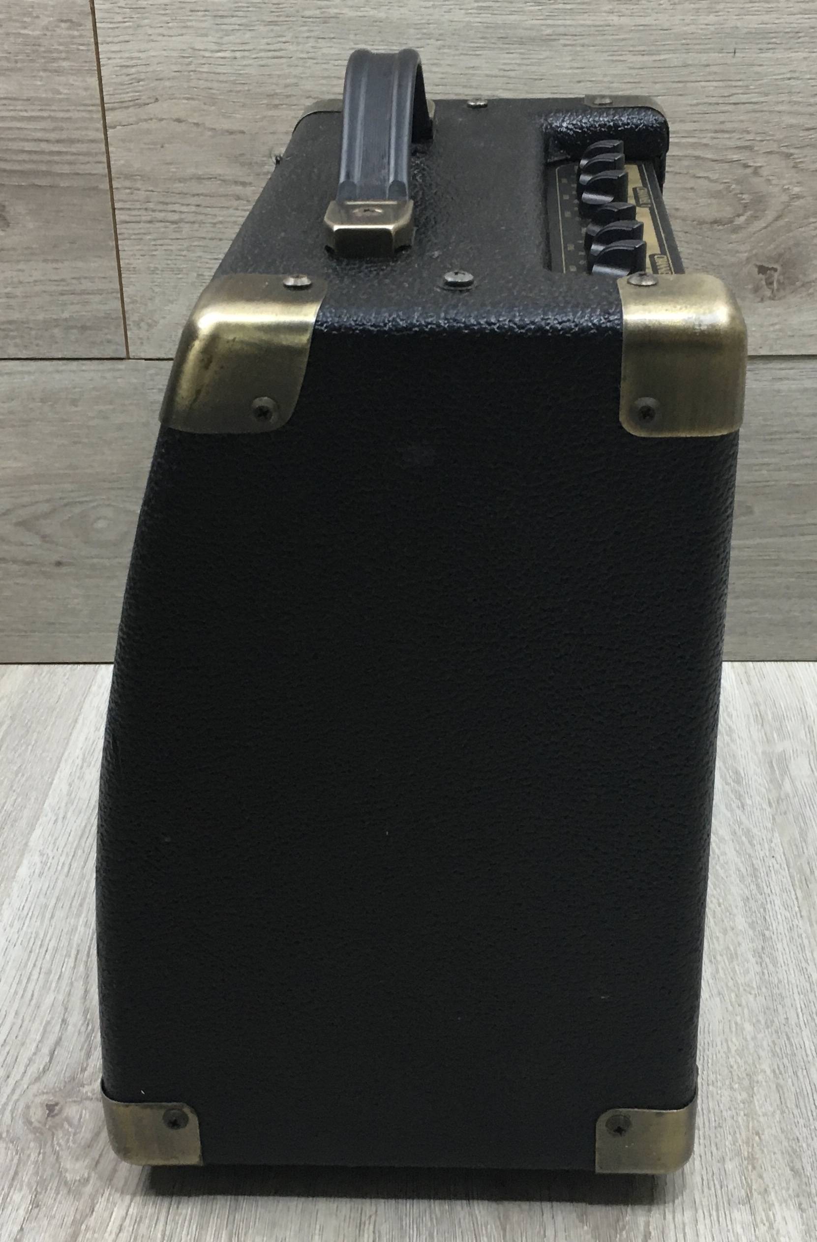 Peavey Ecoustic  e20 - immagine 5