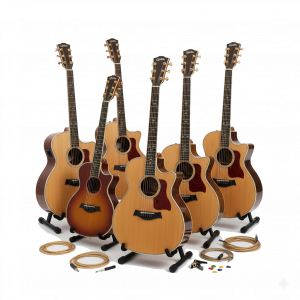 Chitarre Acustiche