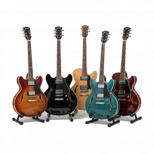 Chitarre Semiacustiche