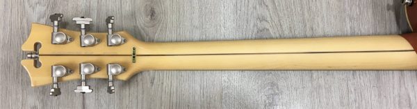 D'Angelico Atlantic Deluxe Limited Edition Rust