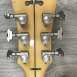 D'Angelico Atlantic Deluxe Limited Edition Rust