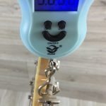 D'Angelico Atlantic Deluxe Limited Edition Rust