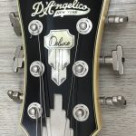 D'Angelico Atlantic Deluxe Limited Edition Rust