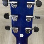 Eko NXT D CW EQ Blue Sunburst