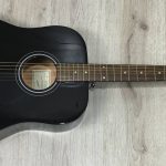 Epiphone Starling