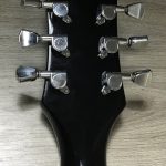 Epiphone Starling