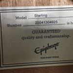 Epiphone Starling