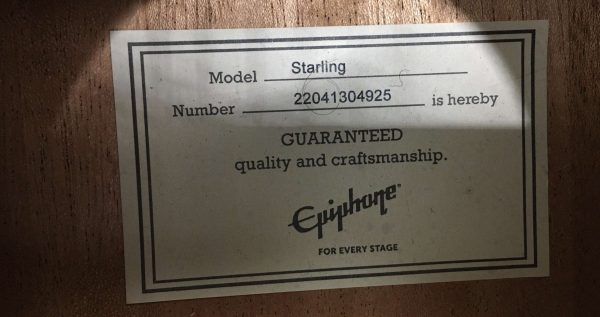 Epiphone Starling