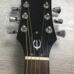 Epiphone Starling