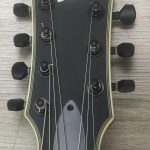 ESP Ltd EC-407 Black Satin