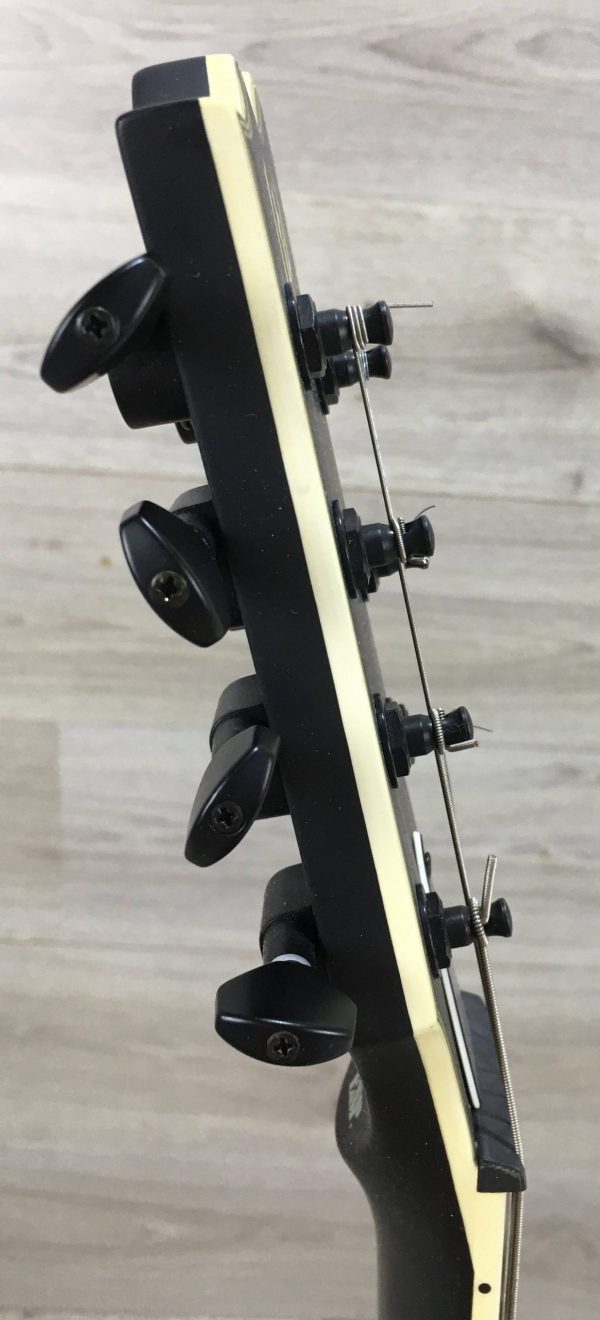 ESP Ltd EC-407 Black Satin