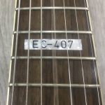 ESP Ltd EC-407 Black Satin