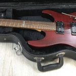 ESP LTD M-100FM See Thru Red con custodia