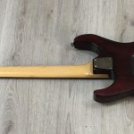 ESP LTD M-100FM See Thru Red con custodia