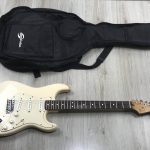 Fender Standard Stratocaster Seriale MZ9459980