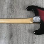 Fender Stratocaster Steve Lacy People Chaos