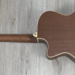 Goldwood GW-PS-GACE-SS