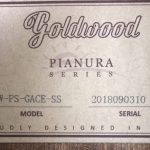 Goldwood GW-PS-GACE-SS