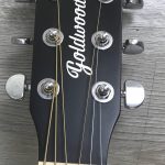 Goldwood GW-PS-GACE-SS