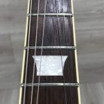Greg Bennett Avion pickup epiphone