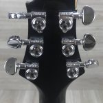 Greg Bennett Avion pickup epiphone