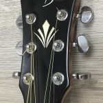 Harley Benton CLC-650SM-CE