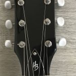 Harley Benton SC-Special Pelham Blue