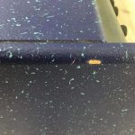 Hughes & Kettner Vortex