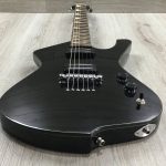 Ibanez ADX120