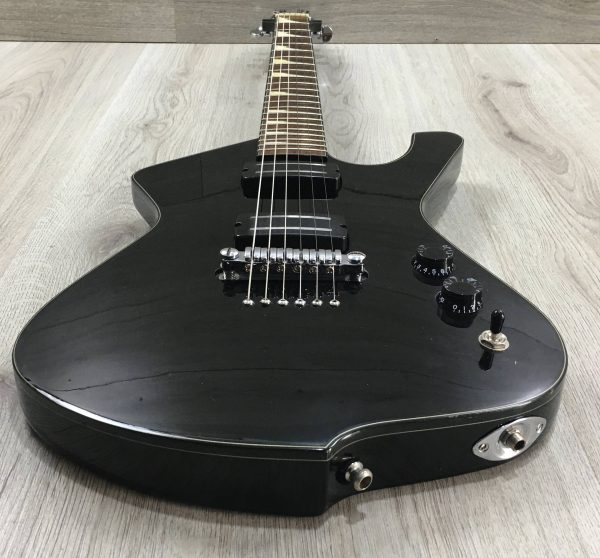 Ibanez ADX120
