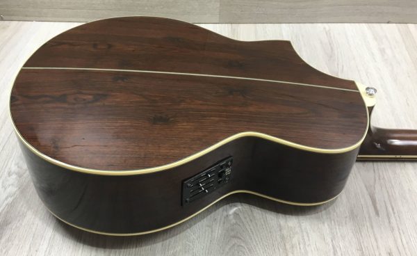 Ibanez EWB205WNENT Basso Acustico 5 corde