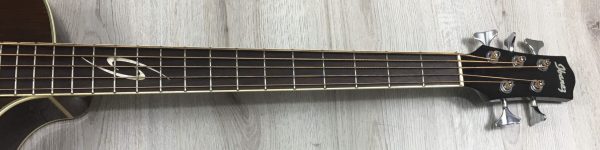 Ibanez EWB205WNENT Basso Acustico 5 corde