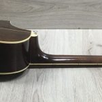 Ibanez EWB205WNENT Basso Acustico 5 corde