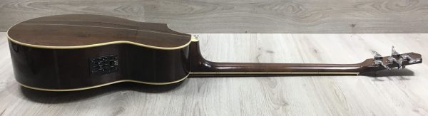 Ibanez EWB205WNENT Basso Acustico 5 corde