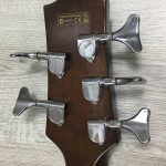 Ibanez EWB205WNENT Basso Acustico 5 corde