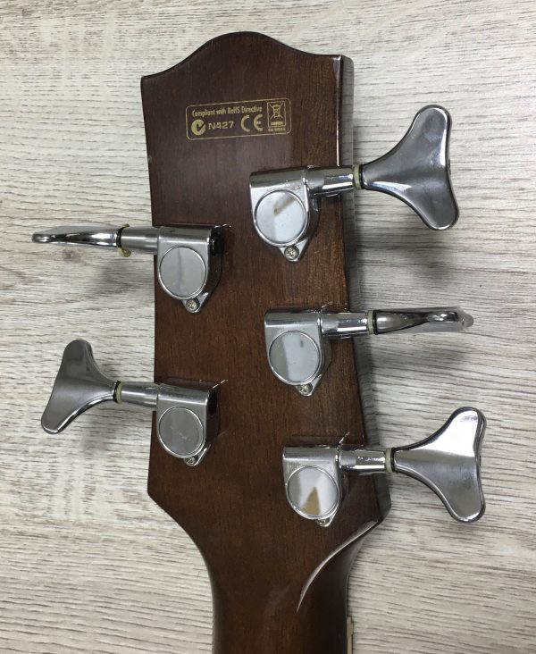 Ibanez EWB205WNENT Basso Acustico 5 corde