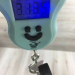 Ibanez EWB205WNENT Basso Acustico 5 corde