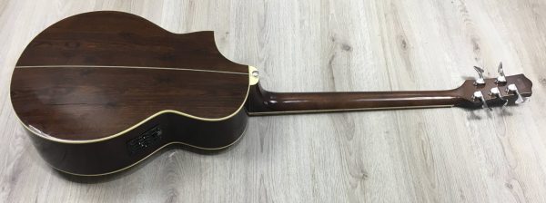 Ibanez EWB205WNENT Basso Acustico 5 corde
