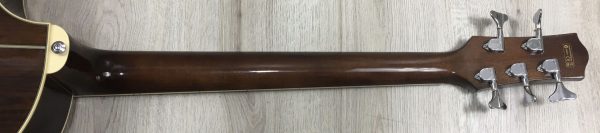 Ibanez EWB205WNENT Basso Acustico 5 corde