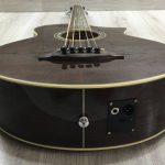 Ibanez EWB205WNENT Basso Acustico 5 corde