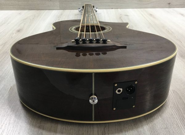 Ibanez EWB205WNENT Basso Acustico 5 corde