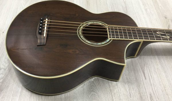 Ibanez EWB205WNENT Basso Acustico 5 corde