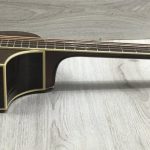Ibanez EWB205WNENT Basso Acustico 5 corde