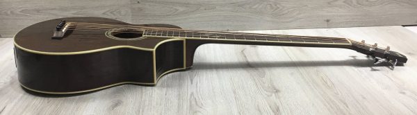Ibanez EWB205WNENT Basso Acustico 5 corde