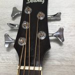 Ibanez EWB205WNENT Basso Acustico 5 corde