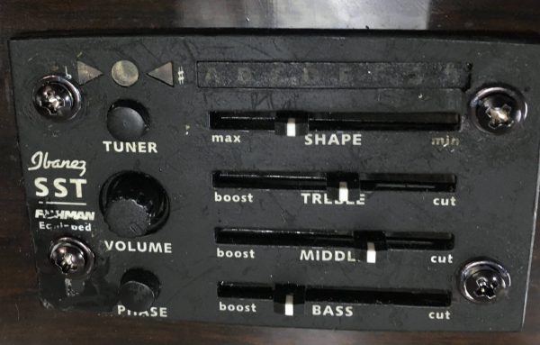 Ibanez EWB205WNENT Basso Acustico 5 corde